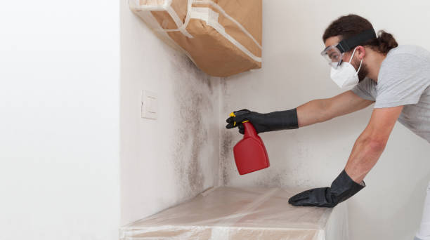 Professional Mold Cleanup technician working in Rougemont, NC